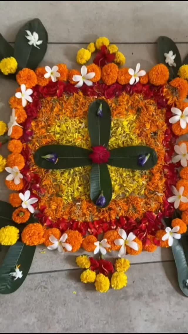Instagram post from dwps_raigarh. This post is in position 3.